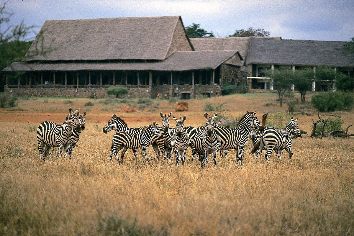 Kilaguni Serena Safari Lodge Wildlife
