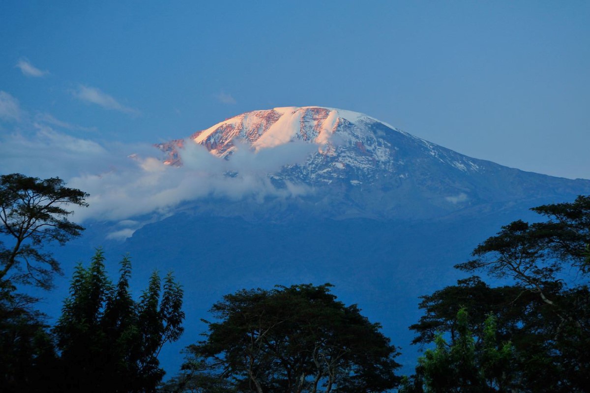Kilimanjaro Aanzicht
