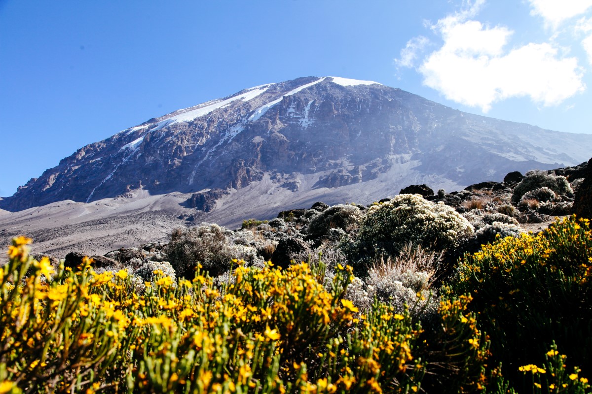 Kilimanjaro Natuur