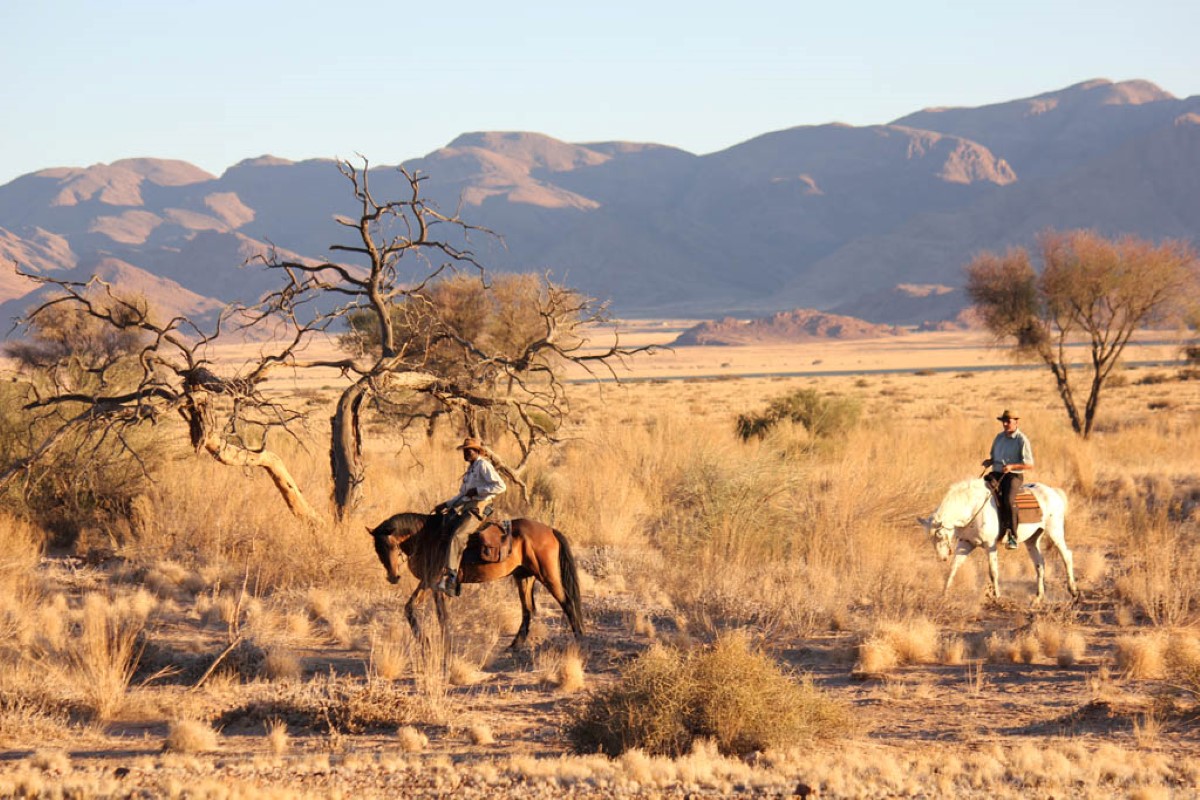 Desert Homestead Paardrijdtocht