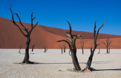 Hoogtepunten van Namibië per Huurauto